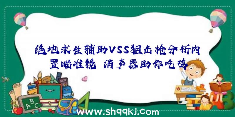 绝地求生辅助VSS狙击枪分析内置瞄准镜